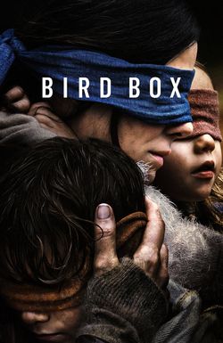 Bird Box