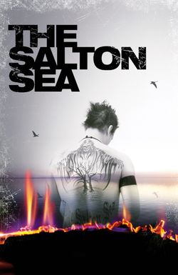 The Salton Sea