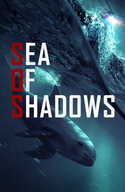 Sea of Shadows