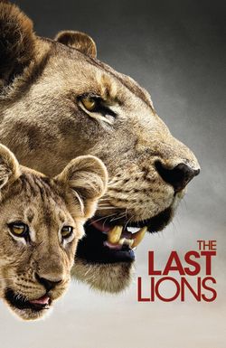 The Last Lions