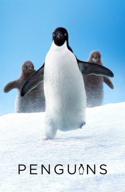 Penguins