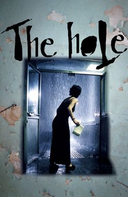 The Hole