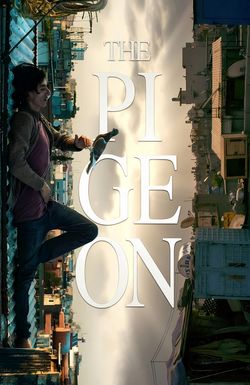 The Pigeon