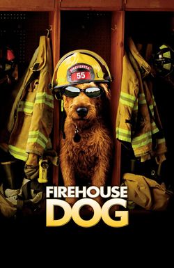 Firehouse Dog