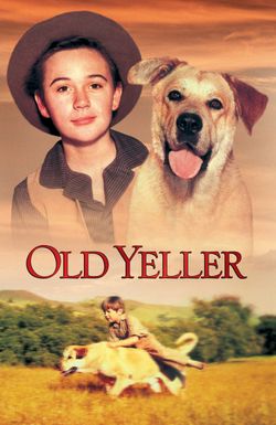 Old Yeller