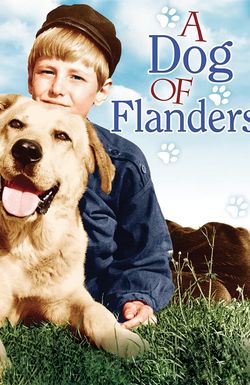 A Dog of Flanders