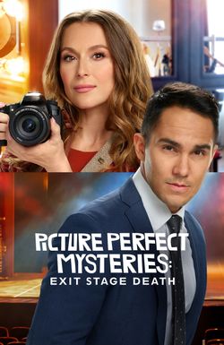 Picture Perfect Mysteries