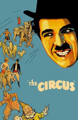 The Circus