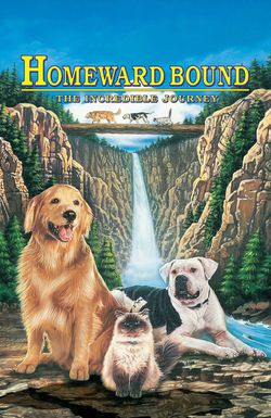 Homeward Bound: The Incredible Journey