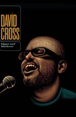 David Cross: Bigger & Blackerer