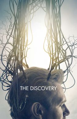 The Discovery