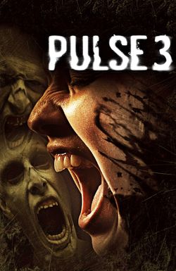 Pulse 3