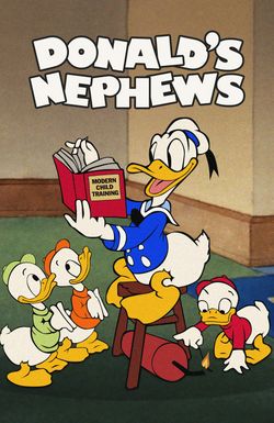 Donald's Nephews