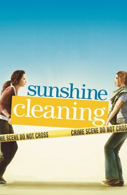 Sunshine Cleaning