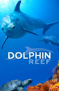 Dolphin Reef