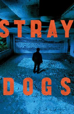 Stray Dogs