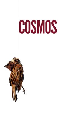 Cosmos