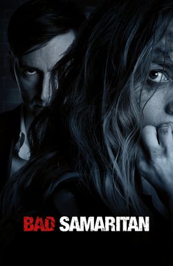 Bad Samaritan