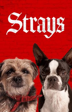 Strays