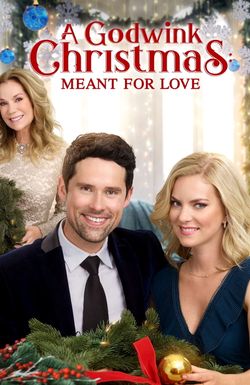 A Godwink Christmas: Meant for Love