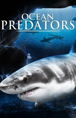 Ocean Predators