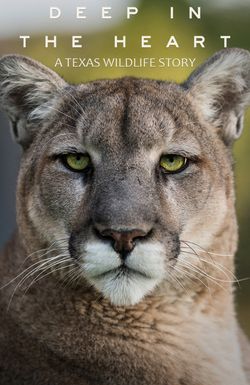 Deep in the Heart: A Texas Wildlife Story