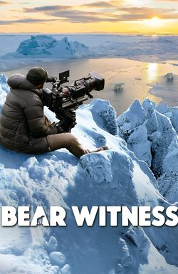 Bear Witness