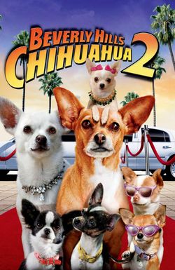 Beverly Hills Chihuahua 2