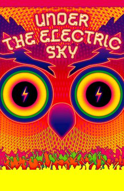 Under the Electric Sky