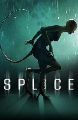 Splice