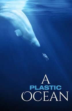 A Plastic Ocean