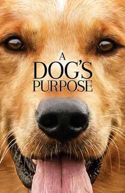 A Dog's Purpose