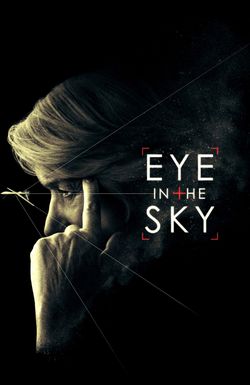 Eye in the Sky