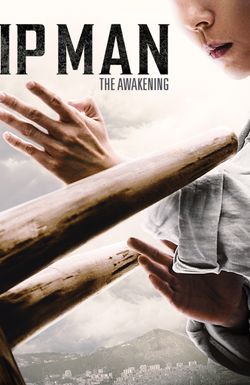 Ip Man: The Awakening