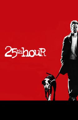 The 25th Hour