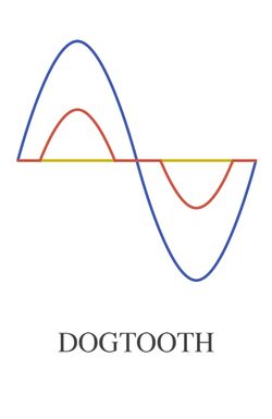 Dogtooth