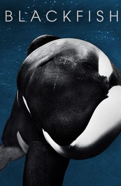 Blackfish