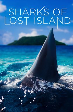 Sharks of Lost Island