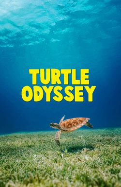 Turtle Odyssey