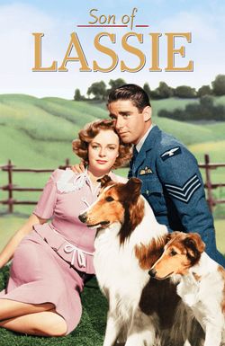 Son of Lassie