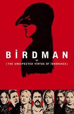 Birdman or (The Unexpected Virtue of Ignorance)