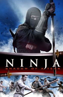 Ninja: Shadow of a Tear