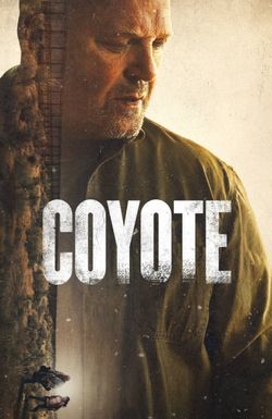 Coyote