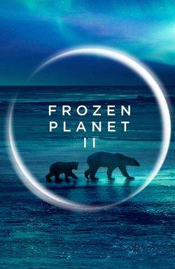 Frozen Planet II