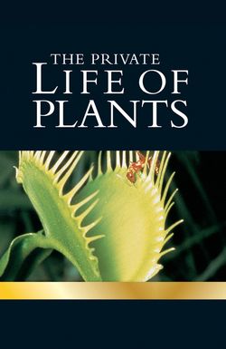 The Private Life of Plants