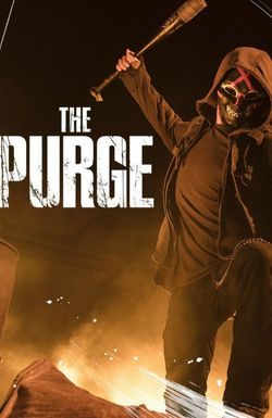 The Purge