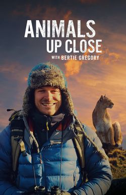 Animals Up Close with Bertie Gregory