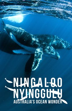 Ningaloo Nyinggulu