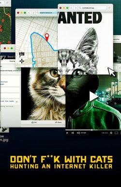 Don't F**k with Cats: Hunting an Internet Killer