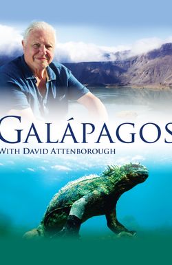 Galapagos 3D